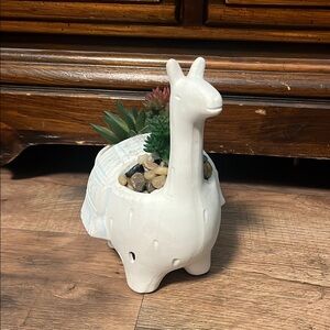 White Llama Planter with Succulents